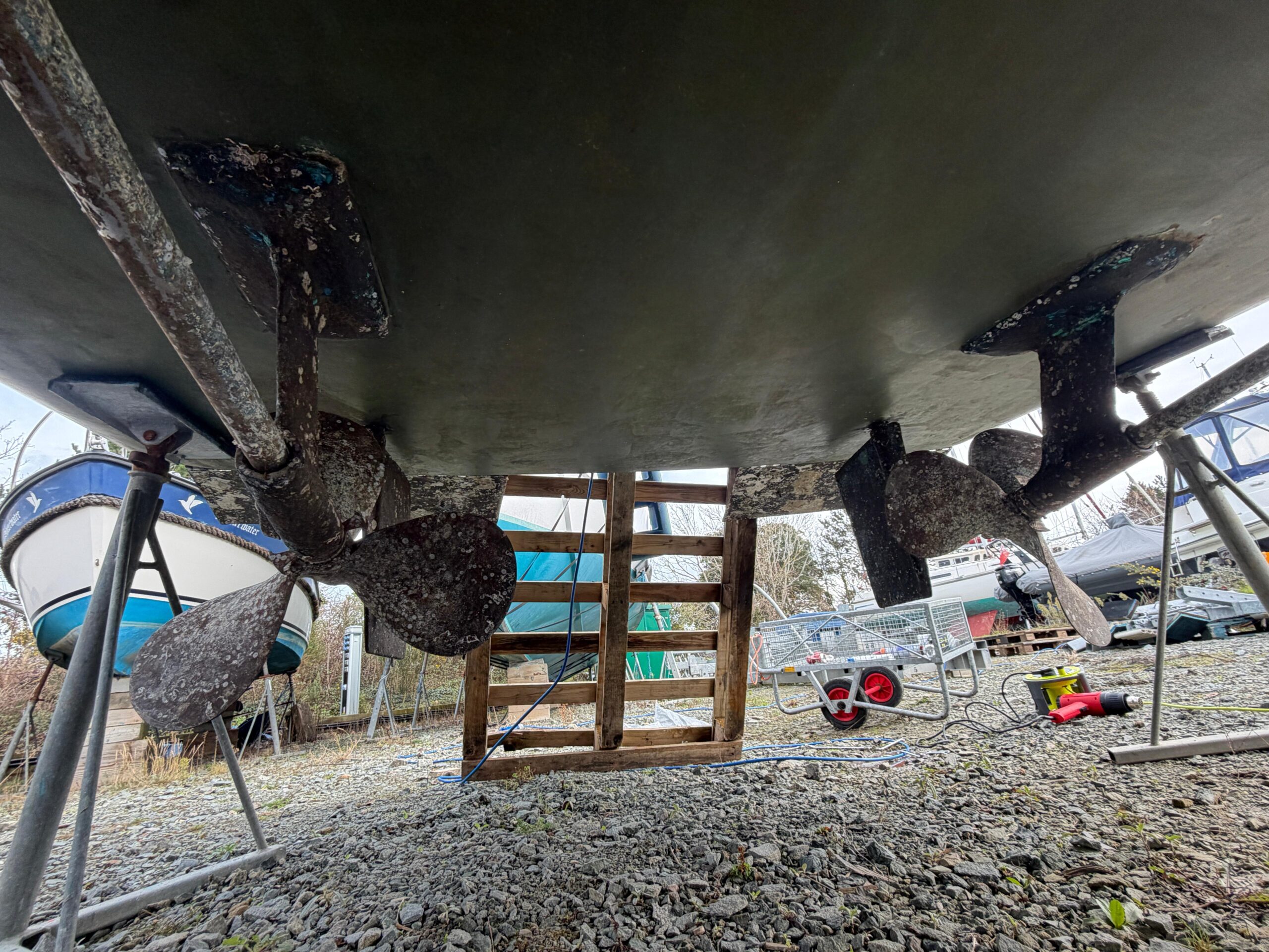 WhatsApp Image 2026 02 09 at 7.28.35 PM (3)