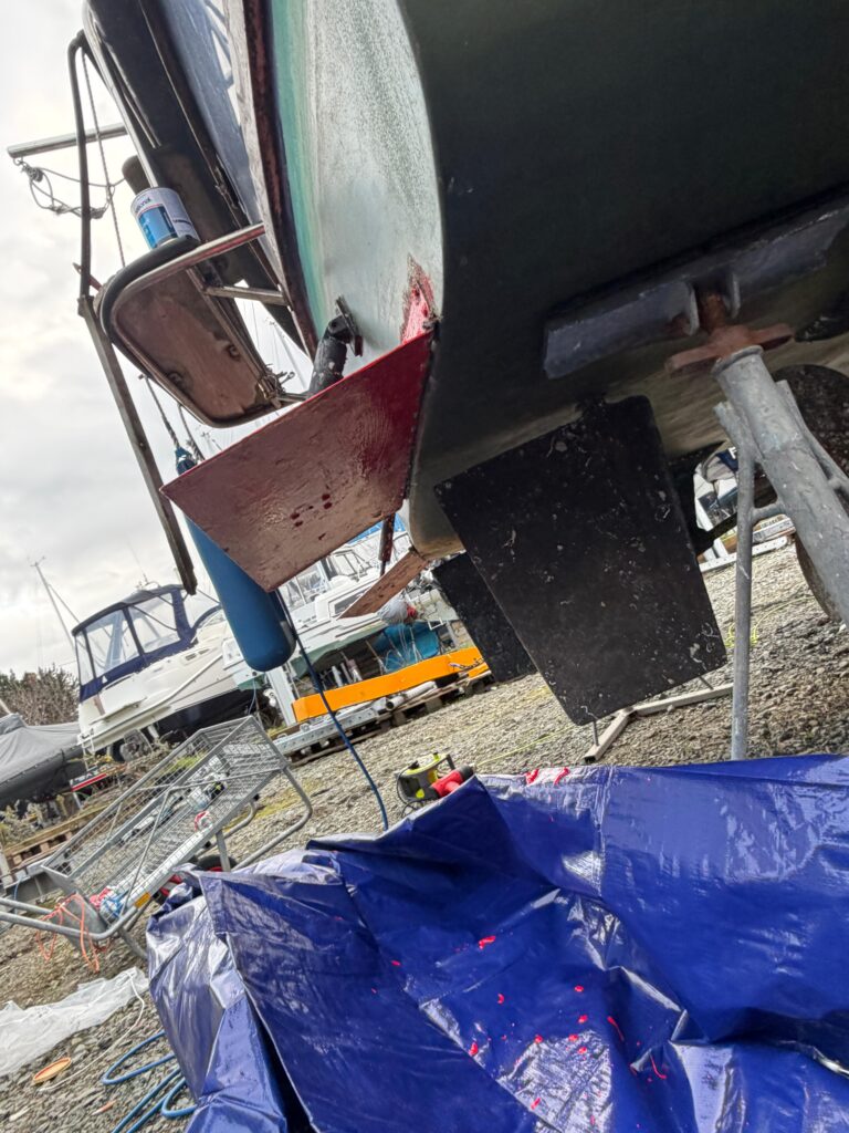 WhatsApp Image 2026 02 09 at 7.28.35 PM